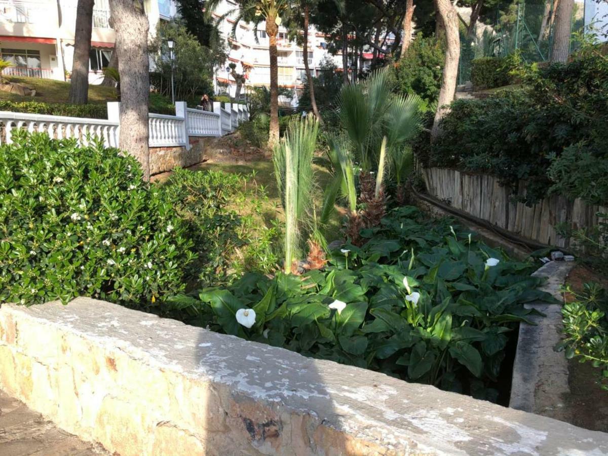 Apartment Playmon Park *